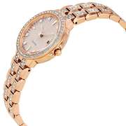 Citizen Eco-Drive Silhouette Crystal Ladies Watch