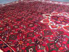 MAGNIFICENT PERSIAN HAMEDAN RUG 7'X10'.1"