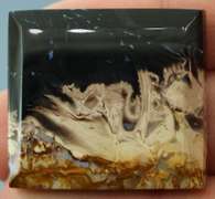 Stunning 65.76ct fossilized Palm Root Jasper