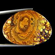 Highly figurative 26.76ct Koroit boulder Opal