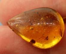 Large 6.59ct insect bearing Madagascar Amber