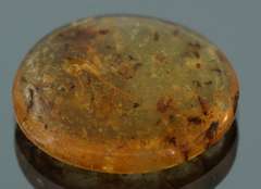Large 6.02ct insect bearing Madagascar Amber