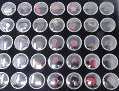 Tray of Colorful Loose Gemstones