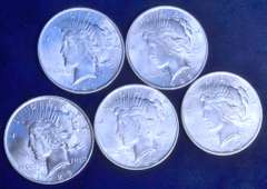 Lot of 5 AU/UNC 1923 Peace Dollars