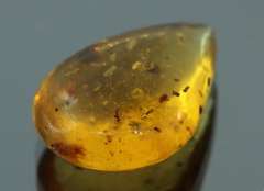 Large 6.59ct insect bearing Madagascar Amber
