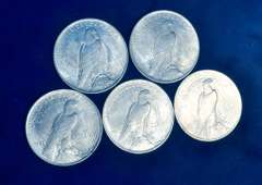 Lot of 5 AU/UNC 1923 Peace Dollars