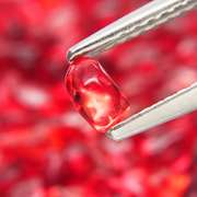 Amazing 25.70ct collection of free form Sapphires