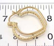 Beautiful Interlocking Earrings