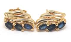 Beautiful Sapphire Leaf Style Earrings