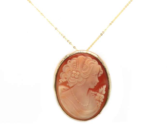 Handsome Cameo Pendant Pin on Chain Necklace