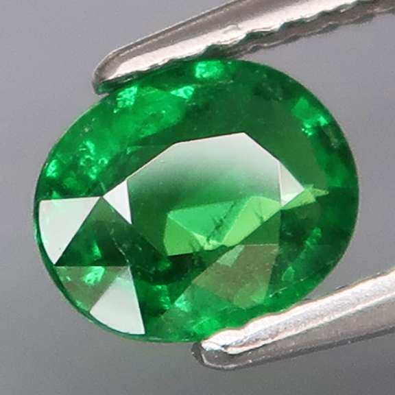 Collectors .93ct vivid kelly green Tsavorite Garnet