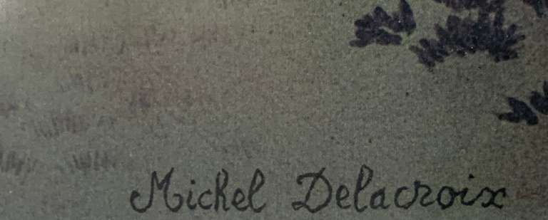 Michel Delacroix Framed Print