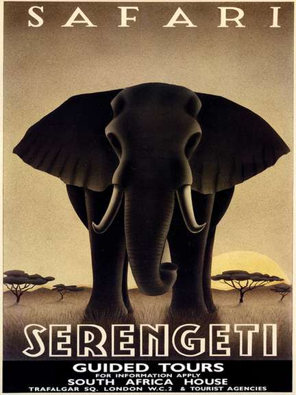 Steve Forney Safari Serengeti