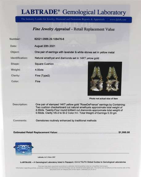 Dreamy Rose De France Earrings