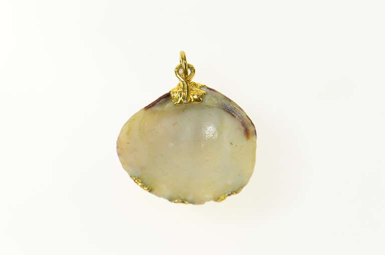 Gold Plated Ornate Natural Cockle Sea Shell Ocean Motif Charm/Pendant