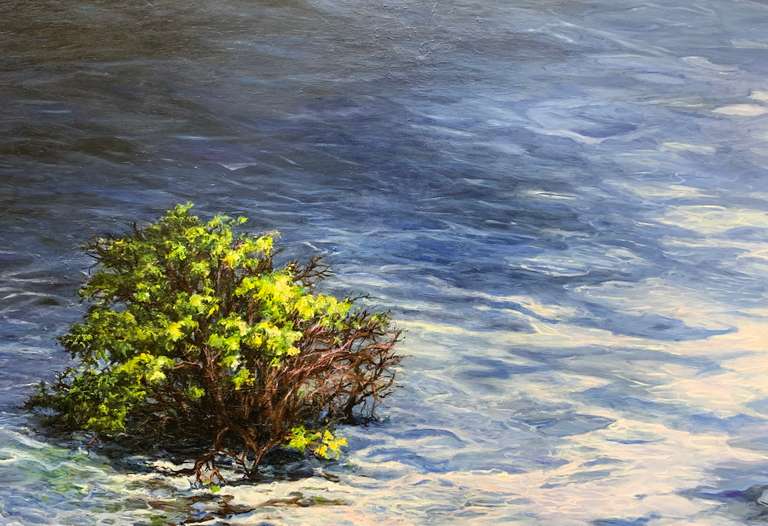 Sara Liebman Original Artwork