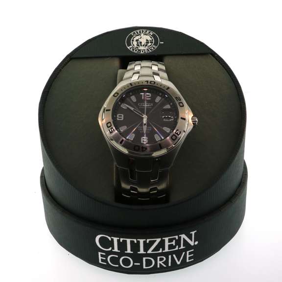 Citizen Eco-Drive Stainless Steel Watch