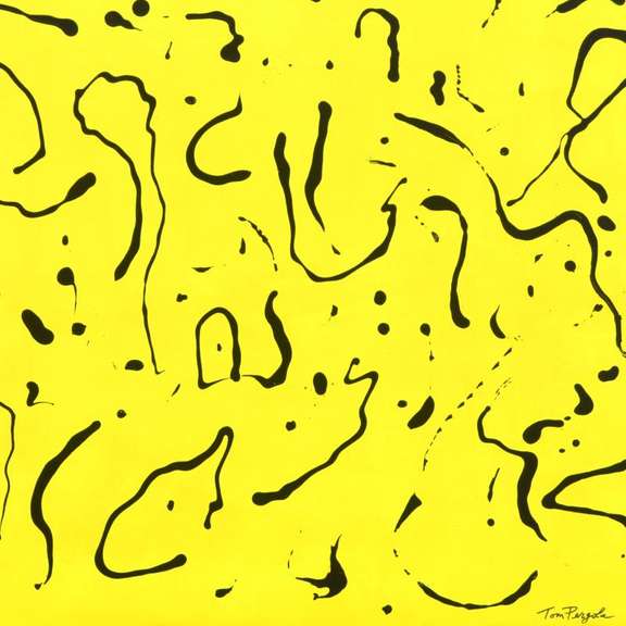 Black and Yellow