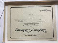 PINO RESTING TIME PINO RESTING TIME