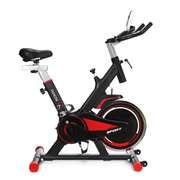 Indoor Cycling Bike Upright Stationary 13KG Flywheel