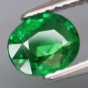 Collectors .93ct vivid kelly green Tsavorite Garnet