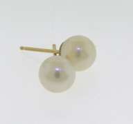Simple Yellow Gold 6.5mm Pearl Stud Earrings