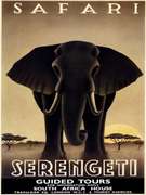 Steve Forney Safari Serengeti