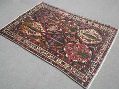 Four Seasons Persian Bakhtiari 4.3x6.2