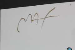 ORIGINAL PAINTING BY PETER MAX BLUSHING BEAUTY. HAND SIGNED  MAX BLUSHING BEAUTY