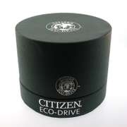 Citizen Eco-Drive Stainless Steel Watch