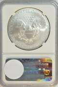 Flawless 2013 (W) $1 Silver Eagle. NGC MS70 EARLY RELEASES
