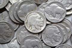 80 Unsearched Full Date Buffalo Nickels