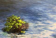 Sara Liebman Original Artwork