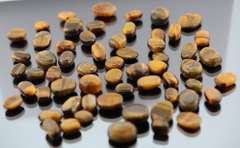 Huge 334.5ct parcel of natural Tigers Eye cabochons