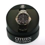 Citizen Eco-Drive Stainless Steel Watch
