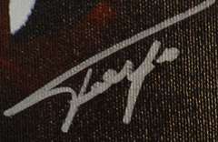 Ferjo Masters Musical Beginnings