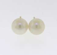 Simple Yellow Gold 6.5mm Pearl Stud Earrings