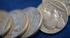 Lot of 80 Full Date Partial Horn Buffalo Nickels