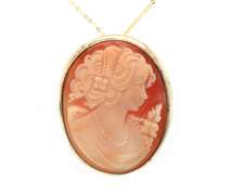 Handsome Cameo Pendant Pin on Chain Necklace