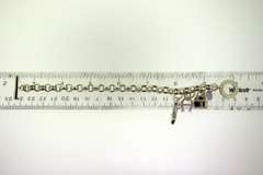 Sterling Silver Etienne Aigner Charm Link Bracelet