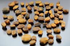 Huge 325.5ct parcel of natural Tigers Eye cabochons