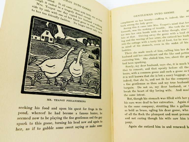 Gentleman Into Goofe Antique Book, 1st Edition