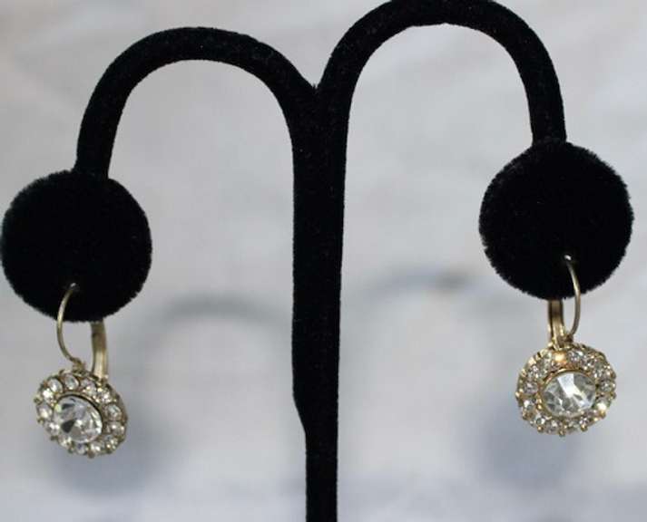 Pair of Fashion Jewelry Earrings