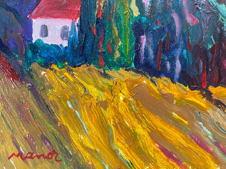 Wonderful Art By Manor Shadian