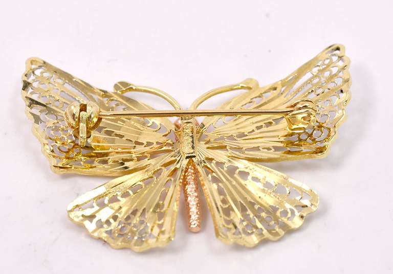 Wonderful Tri-Color Butterfly Pin in 14KT Gold