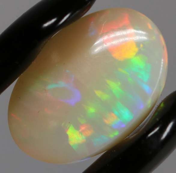 Gorgeous 7.48ct rolling floral fairy fire Welo Opal