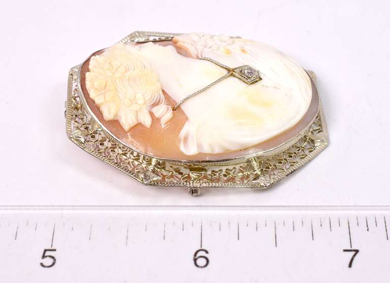 Stunning Cameo Pin/Pendant in 14KT