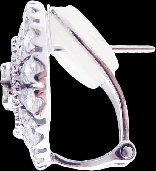 Gorgeous Diamond Earrings