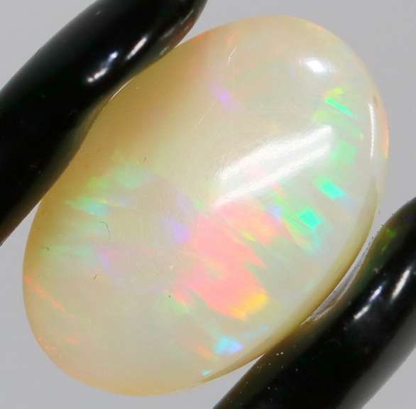 Gorgeous 7.48ct rolling floral fairy fire Welo Opal