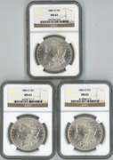 Choice BU 1883-O, 84-O, & 85-O Morgan Dollars. NGC MS63